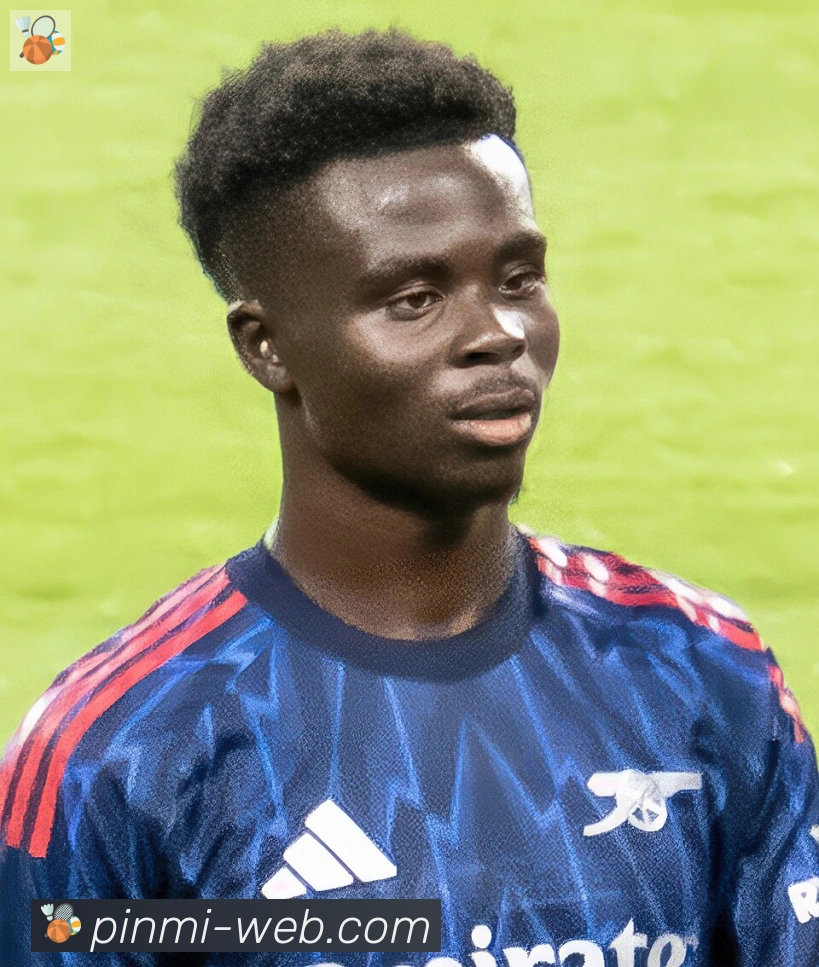 维尼修斯